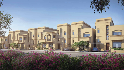 Shalimar Aster, Lucknow