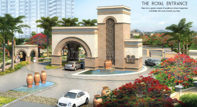 Shalimar Aster, Lucknow