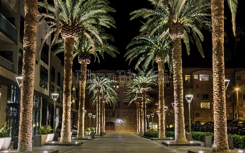 Ace Edit image 3 | Dhanbhumi