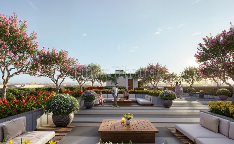 Ace Edit image 4 | Dhanbhumi