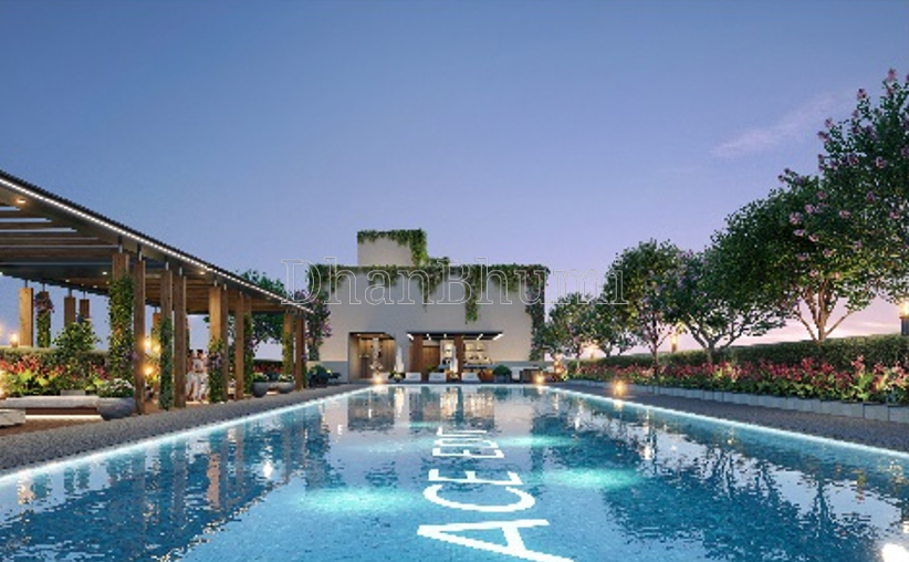 Ace Edit image 5 | Dhanbhumi