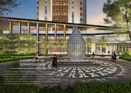 Tulip Crimson image 4 | Dhanbhumi