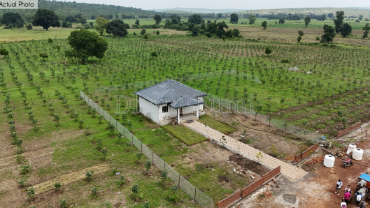 Kailasha Farm image 4 | Dhanbhumi